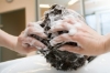 Sampon anti-matreata dandruff 250 ml morgans